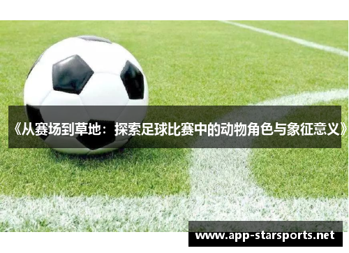 《从赛场到草地：探索足球比赛中的动物角色与象征意义》